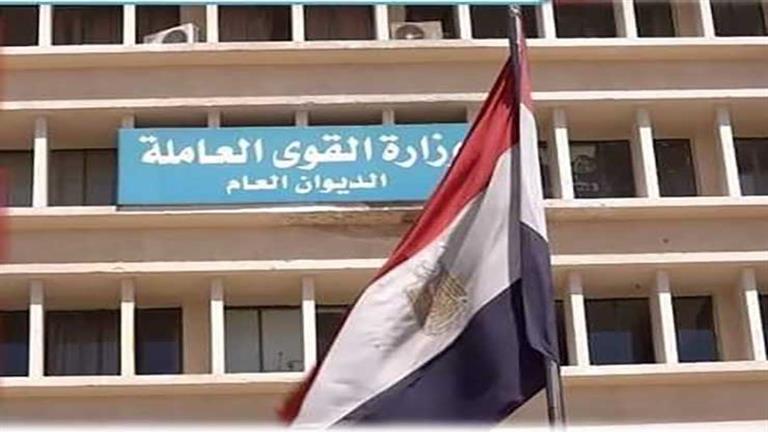 رابط تسجيل العماله المتضرره في مصر 2022