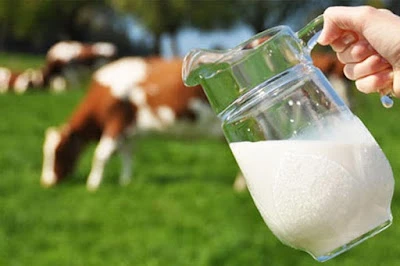 أي أنواع الحليب يناسبك؟ البقري، حليب اللوز، الصويا أم الأرز؟
